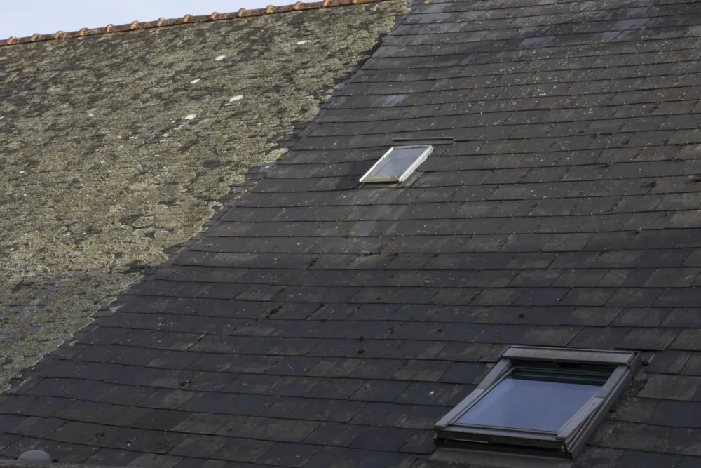 Traitement de toiture près de Moutiers-les-Mauxfaits